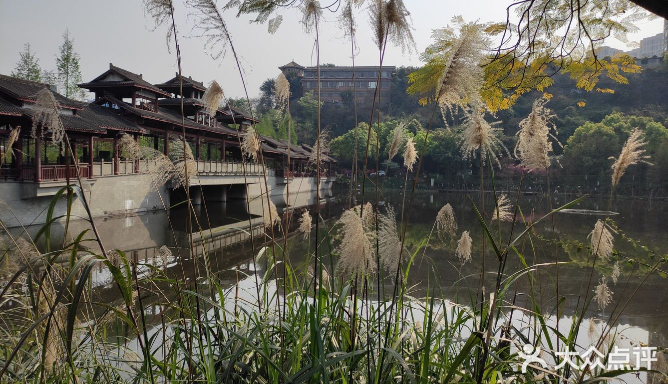 彩云湖公园是重庆最大的湿地公园