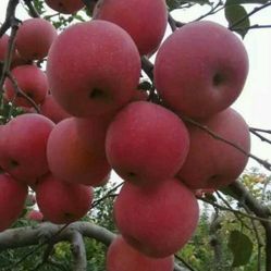 _9GEVsoDGIL4z61jJ81CNarGeTlCe8CndyVpEQsD7yA32iHpQfqTt42Nj-6Xj6n-F5u7J_jS4MuCaeLAHD0KTg.jpg