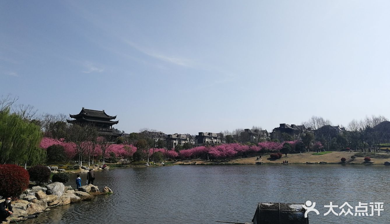 镇江市南山花鸟市场