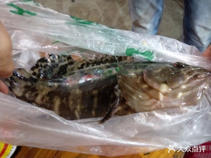 海南人家(c栋2排6号万人火车头海鲜广场店)清蒸石斑鱼图片 - 第7张