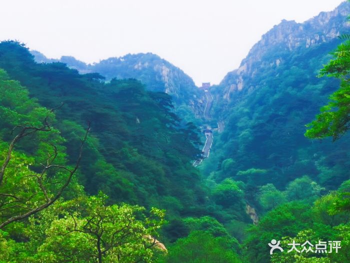 泰山风景名胜区图片