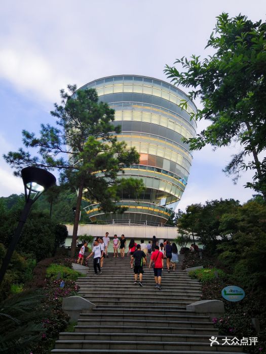 南山一棵树景区-图片-重庆爱车-大众点评网