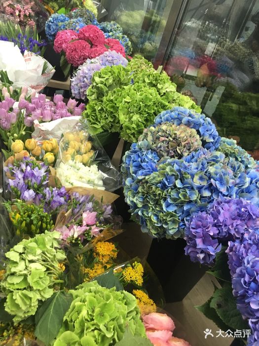 东风国际花卉市场图片 - 第21张