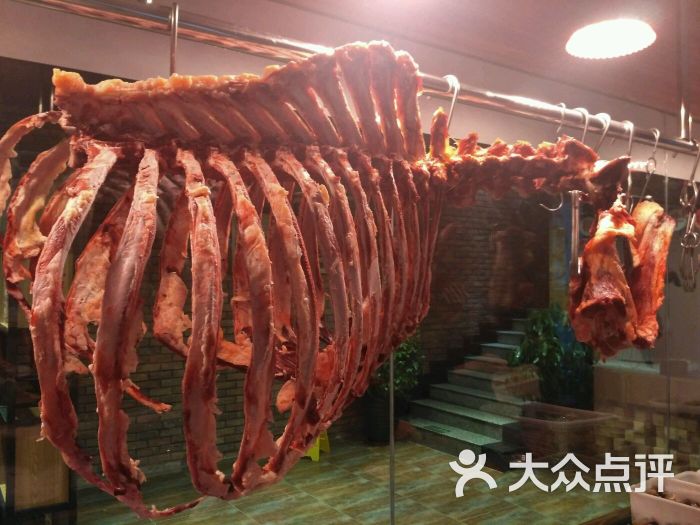 牛骨架