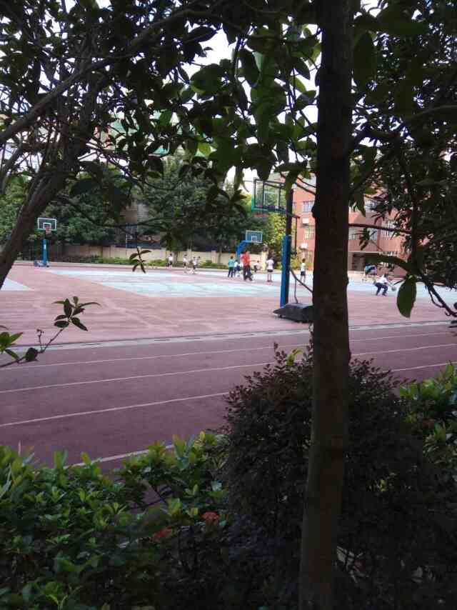 南燕小学-"南燕小学座落在海珠区,燕翔路,南景园旁,.