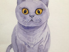 水彩画--蓝猫-上海凯旋画室(闵行南方商城校区)
