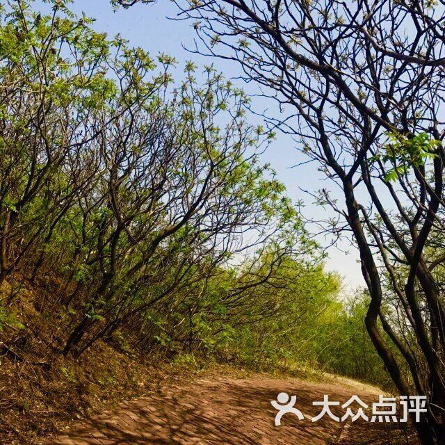 浮烟山森林公园景点图片 - 第4张