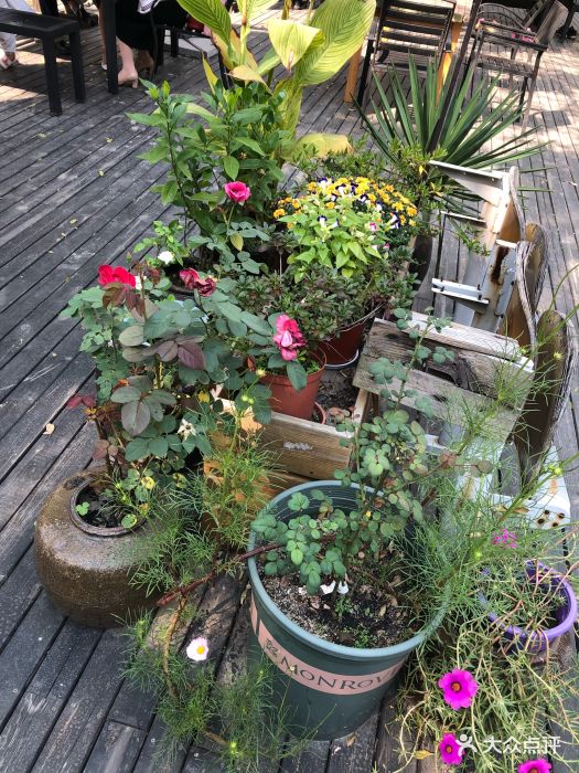 环境没话说,美美美!人均偏高!适合一家,.-呼吸