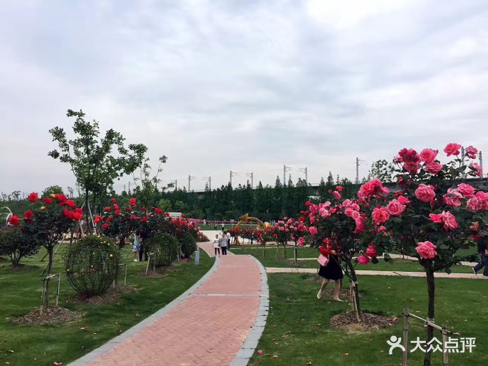 宁波植物园图片 - 第717张