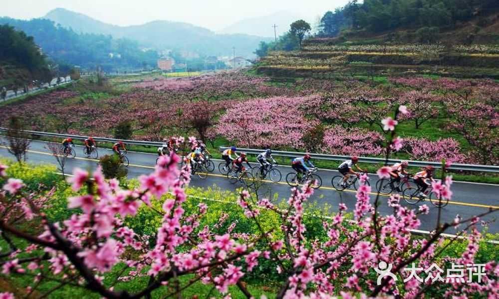 天府花都来自同程图片 - 第7张