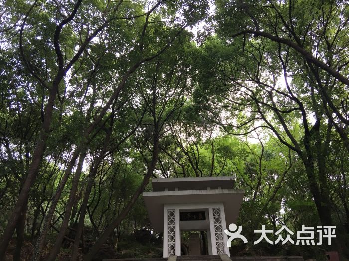 西山公园-图片-海宁市周边游-大众点评网
