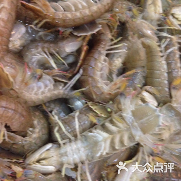 峡山面馆潮汕大排档濑尿虾图片 - 第258张