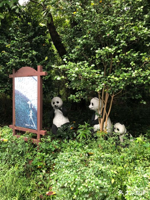 仙芝竹尖熊猫生态园旅游景区-图片-峨眉山市周边游