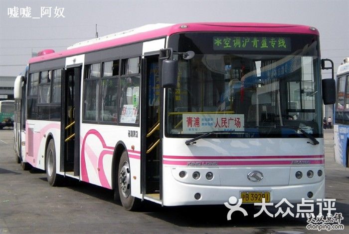 杨浦区汽车站，城市交通的枢纽与人文的交汇点，杨浦区汽车站，城市交通枢纽与人文交汇的亮点
