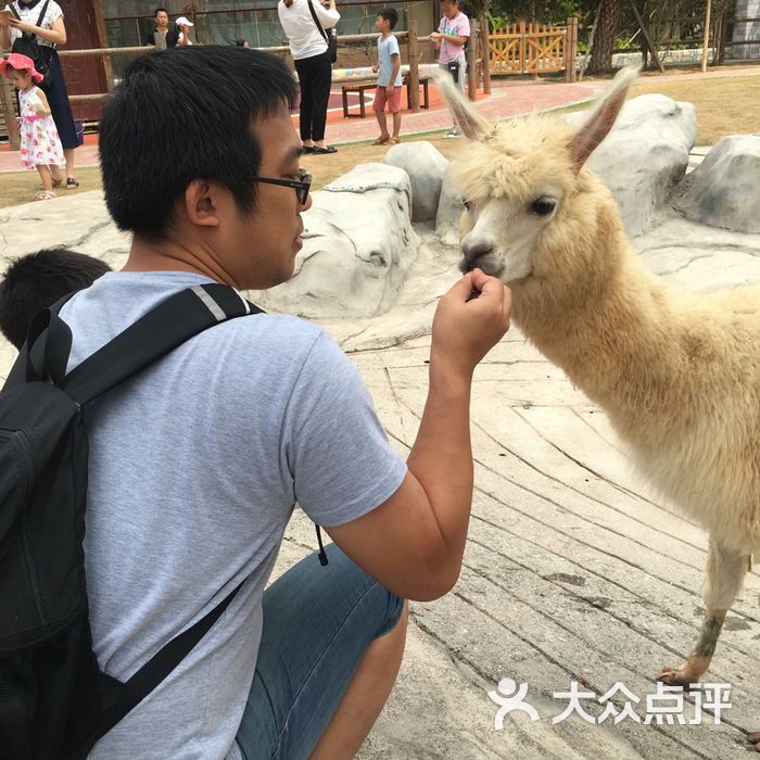 厦门灵玲动物王国图片-北京动物园-大众点评网