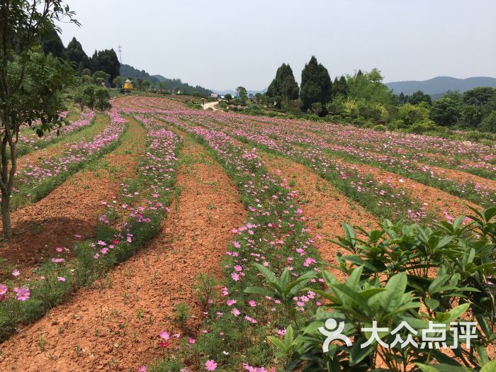 中国香山·寿香谷景点图片 第1张