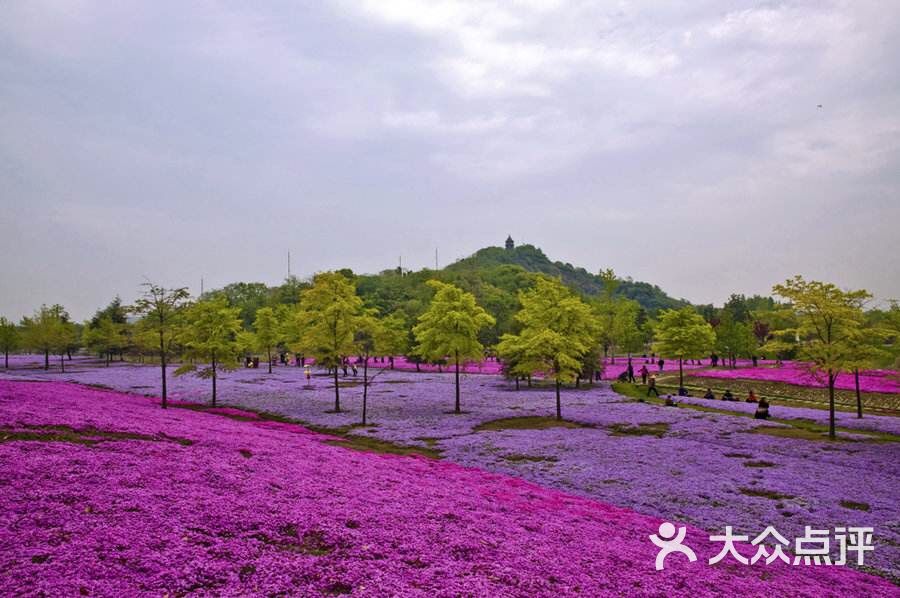 上海辰山植物园