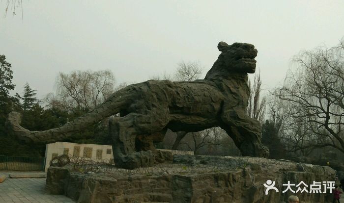 北京动物园动物园—狮虎山图片