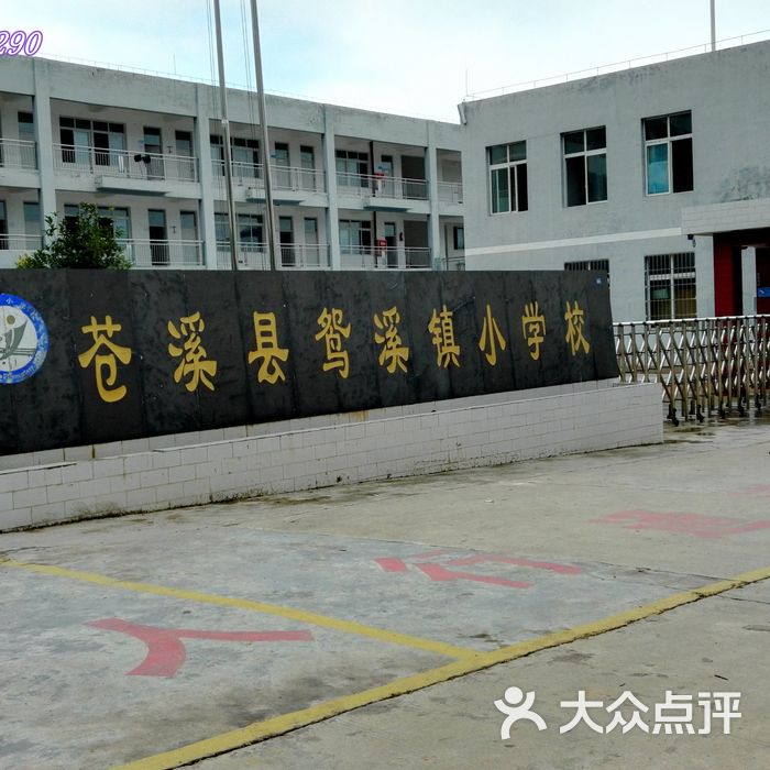 苍溪县鸳溪镇中心小学校教学楼图片-北京小学-大众点评网