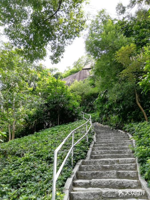 炮台山公园-图片-珠海周边游-大众点评网