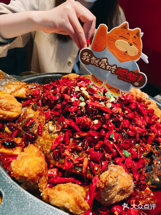 南锣肥猫·麻辣烤鱼(望京麒麟社店)香辣湄江鱼套餐图片