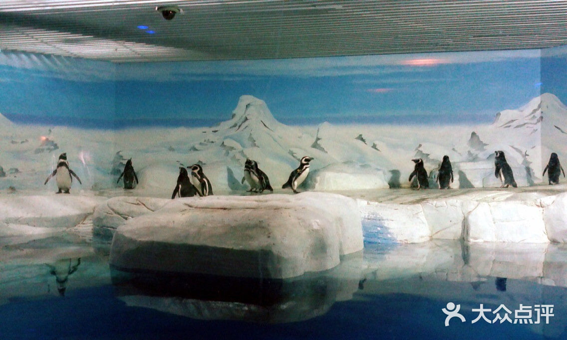 上海海洋水族馆