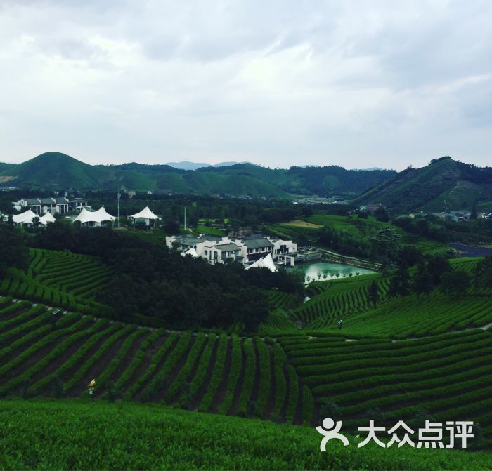 帐篷客安吉溪龙茶谷度假酒店-图片-安吉县美食