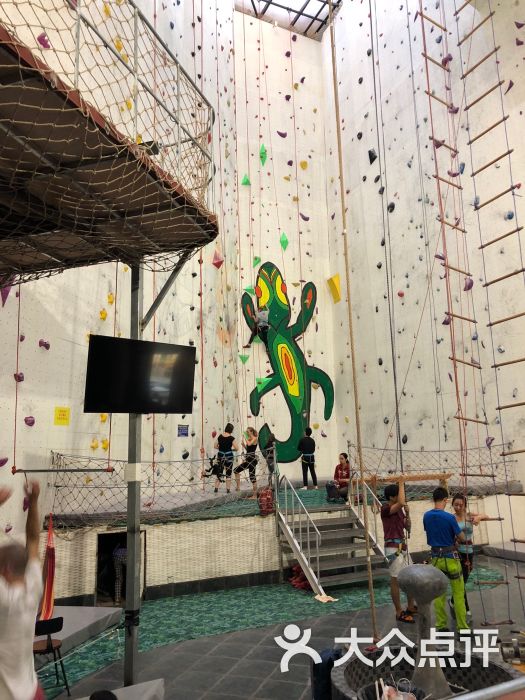 park climbing gym-图片-上海运动健身-大众点评网