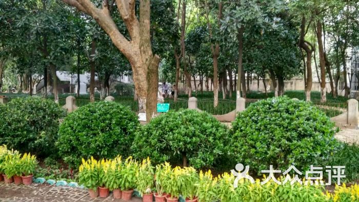 抚州一中-图片-抚州学习培训