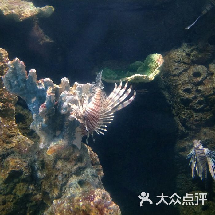 蠡湖中央公园海底世界