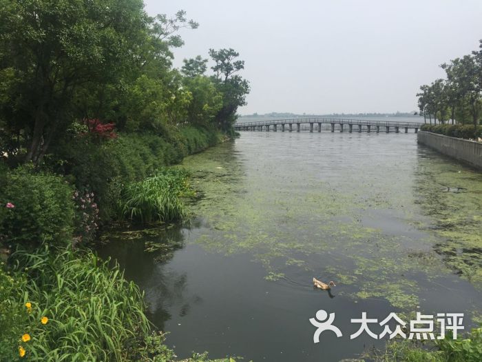 南青荡-南青荡图片-无锡休闲娱乐