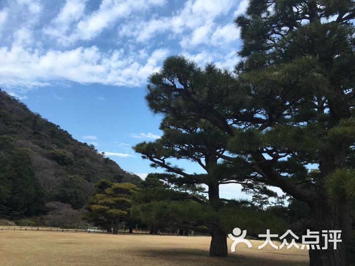 栗林公园-图片-日本景点-大众点评网