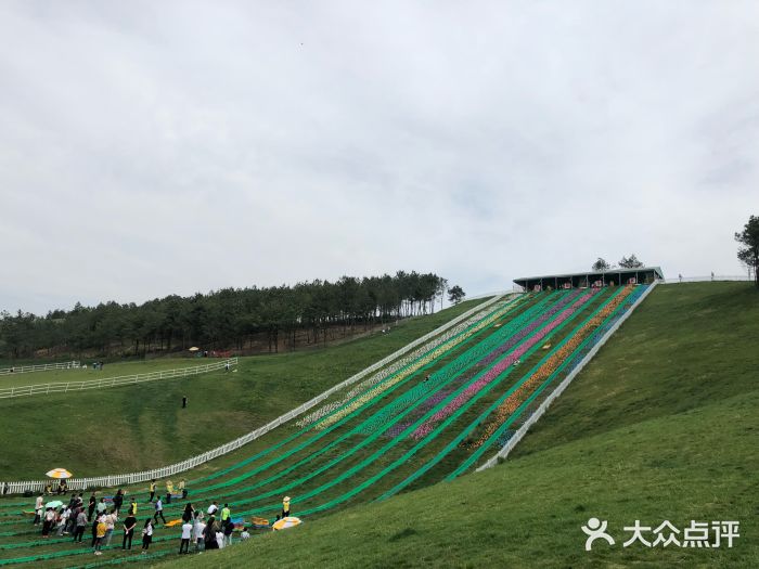 衢州飞鸿滑草场图片