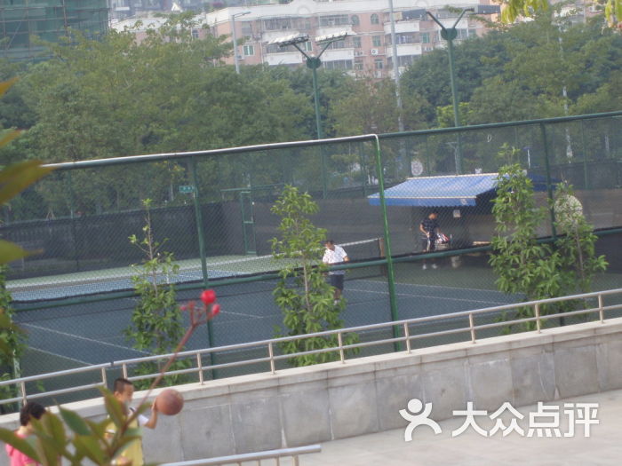 宝安体育馆网球场-网球场图片-深圳运动健身