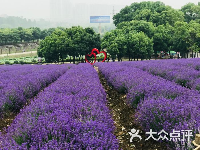 雪浪山生态园图片 第4张