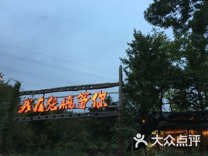我在张桥等你图片 - 第1张