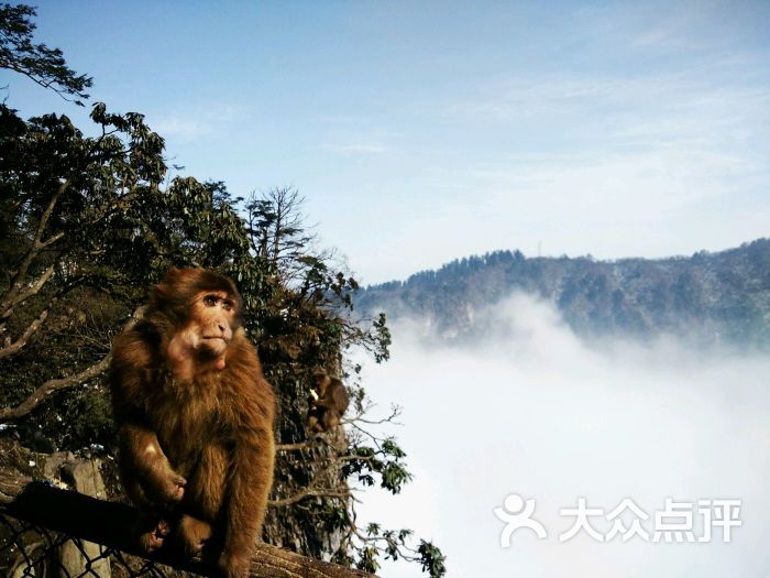 峨眉山景区-图片-峨眉山市周边游-大众点评网
