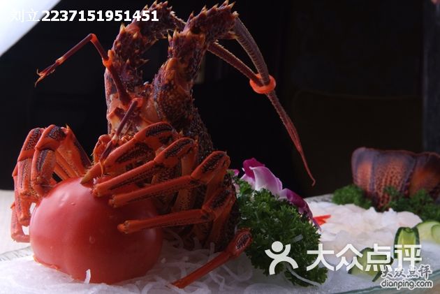 熙园1号-澳洲大龙虾 时价图片-合肥美食-大众点评网
