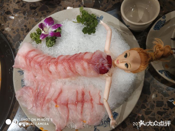 美人鱼