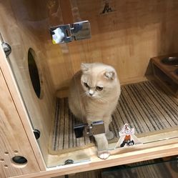 _mIoTqXFF8w9i6_DD6uYbEULoycT0D380BJ-dvG5jnbzrC8Y-b3mDZCktYnLeqgcF5u7J_jS4MuCaeLAHD0KTg.jpg