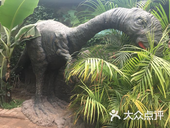 呀路古热带植物园·恐龙馆图片 - 第10张