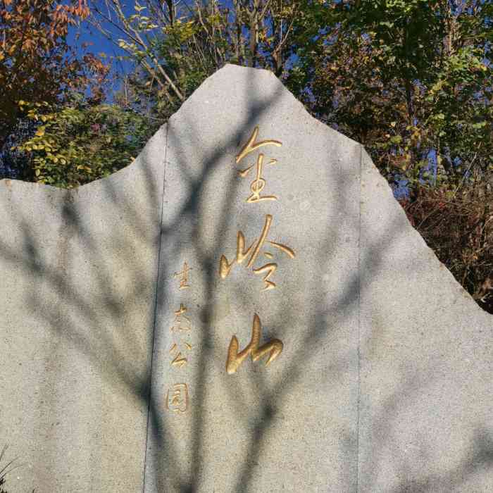 金岭山生态公园"金岭山生态公园,去年刚刚修建起来的市民休.