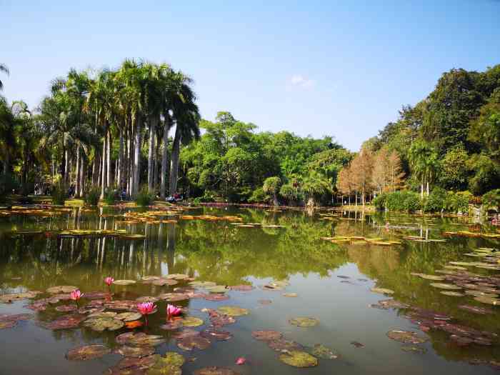 中国科学院西双版纳热带植物园