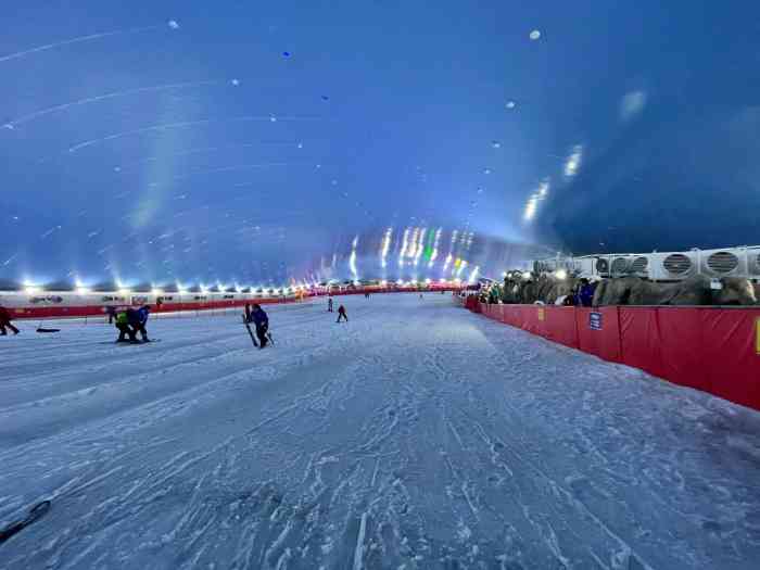 奇特冰雪乐园-"温州市区唯一独家室内滑雪场 交通:.