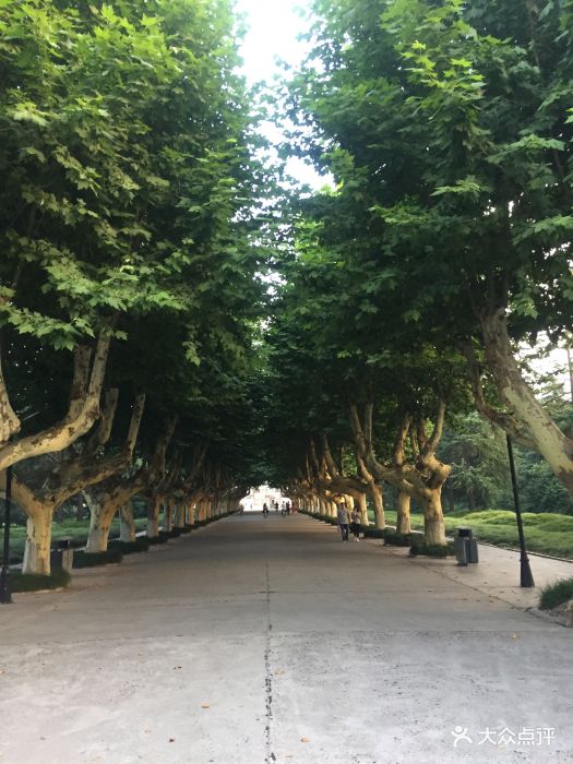 扬州大学(荷花池校区)图片