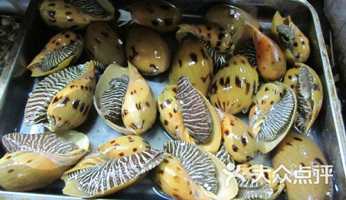 海鲜大餐_海鲜干货_海鲜哥哥(3)