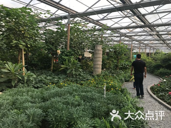 南宫五洲植物乐园