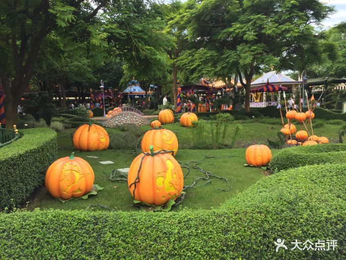 在那边住在迪斯尼乐园酒店里一晚上,酒店住.