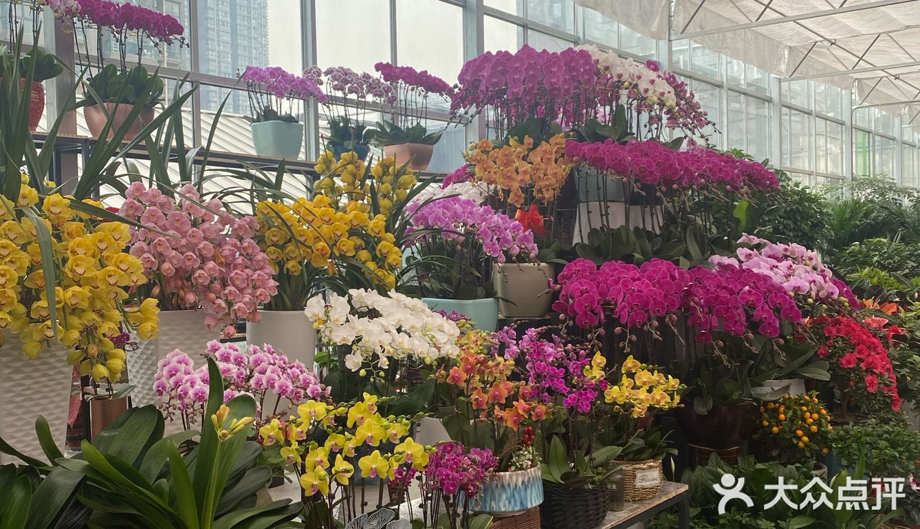 3511花鸟鱼市