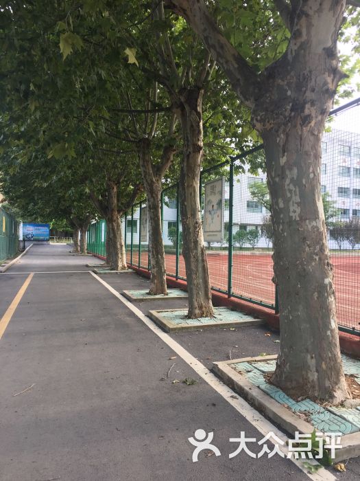 八公山区第一中学图片 第2张